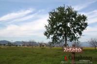 キャンプ場の画像