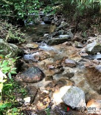 キャンプ場の画像