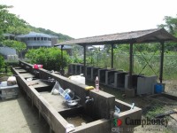 キャンプ場の画像