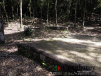 林間の区画サイト