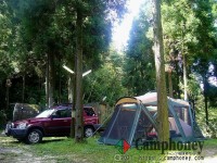 オートサイト、一部電源あり