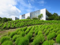 キャンプ場の画像