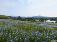 キャンプ場の画像