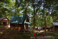 13人用4,910円/楝