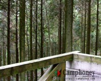 ベランダからの風景です。