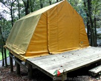 森の中に、カラフルなテントが25張あります。すぐ外には虫の音。アウトドア気分最高です。