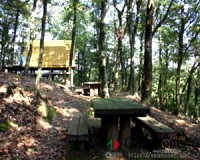 木陰でお茶でもどうぞ！