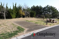 電源付きオートサイト【日帰り】