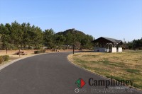 電源付きオートサイト【日帰り】