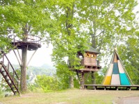 キャンプ場の画像