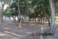 テント持ち込み【宿泊】