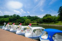 キャンプ場の画像