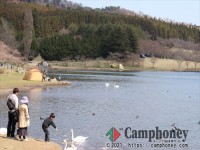 別府温泉近し♪湖の真横で白鳥と一緒にキャンプ♪【ペット可、車横付け可】