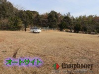 マリーナでオートキャンプ♪