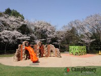 キャンプ場の画像