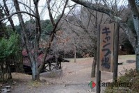 キャンプ場の画像