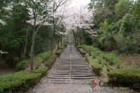 キャンプ場の画像