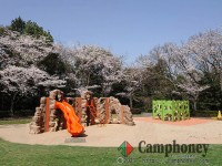 申込必要＆無料キャンプ場【宿泊】【7～8月のみ】