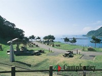 オートキャンプ(持込テント)【日帰り】