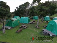 常設テント(4人用)【宿泊】