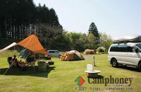 【オートサイト】車とテントを一緒に！電源つきのオートキャンプサイト