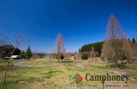 【オートサイト】車とテントを一緒に！電源つきのオートキャンプサイト