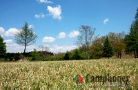 【乗入れ不可(徒歩1～2分)】当キャンプ場の自慢～広々とした芝生サイト