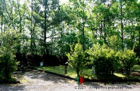 【キャンピングカーサイト】電源付き