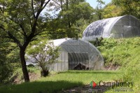 キャンプ場の画像