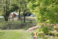 オートサイト　1サイト1泊3,000円