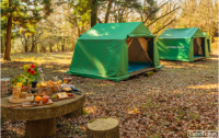 【常設テント】デイキャンプ