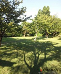 キャンプ場の画像