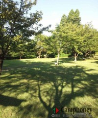 キャンピングカーサイト料・大人1名（電源込み）3500円＋管理料300円