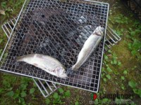 釣り堀で釣った魚を調理