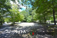 フリーサイト【キャンピングカー】