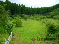 格安オートサイト、中学生以上500円・小学生以上300円、ペット可