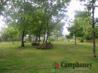 A・B・Cサイト【貸出テント(6人用)】【車横付け可】