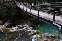 キャンプ場の画像