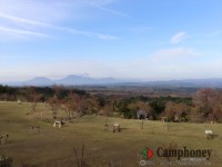 キャンプ場の画像