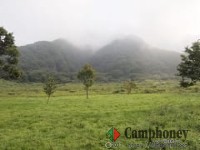 【常設テント】