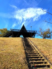 ピクニック広場