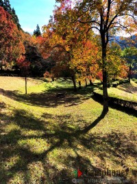 フリーテントサイト【宿泊】テント1100円/張、タープ550円/張、15～翌12時