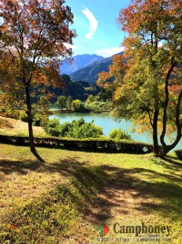 フリーテントサイト【日帰りBBQ】