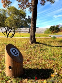 オートサイト【日帰り】1100円/区画