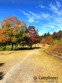 オートサイト【日帰り】1100円/区画