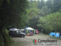 オートサイト(一部電源付)