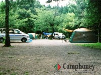 オートサイト(一部電源付)