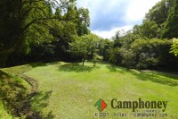 オートサイト(一部電源付)