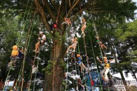 キャンプ場の画像