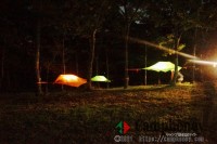 【レンタルテント】TENTSILEー空中テント